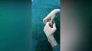 РАКОЛОВКА, РАКОЛОВКА ЗОНТ, САДОК ДЛЯ ЛОВЛИ РАКОВ И РЫБЫ.НА 6,8,12, ВХОДОВ