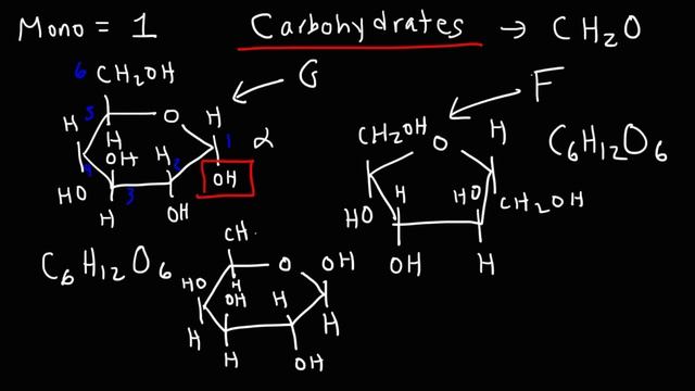 Monosaccharides - Glucose, Fructose, Galactose, & Ribose - Carbohydrates