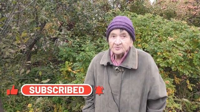 ПЕРЕПРИВИВКА ЯБЛОНИ?