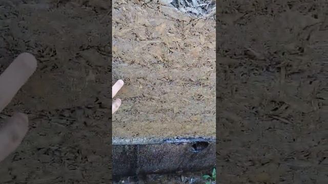 Заливка стен ДЕРЕВОБЕТОН Первый замес смотреть онлайн