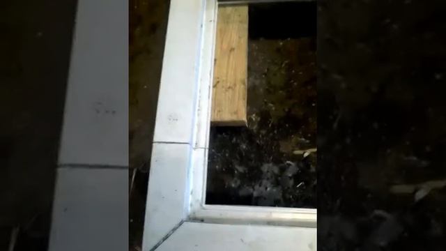 Укоратить пластиковую дверь смотреть онлайн