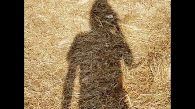 Steven Wilson - Slut 1.4 смотреть онлайн