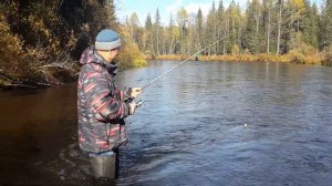 Осенний хариус на речке мина.