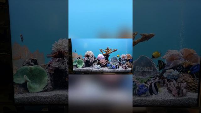 Coolux Universal Remote Control for Most Samsung LED LCD HDTV 3D, Smart Home Entertainment TVs смотреть онлайн