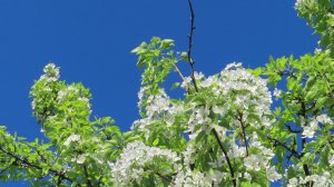 Beauté КРАСОТА!