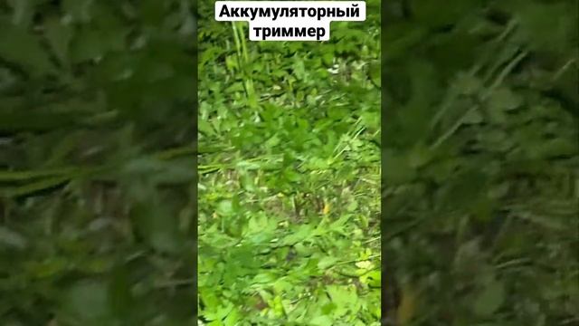 Лучшая насадка для слабого аккумуляторного триммера. #аккумуляторныйтриммер#триммер#masterhas#