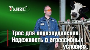 Трос для навозоудаления. Надежность в агрессивной среде. Монтаж троса в реальных условиях.