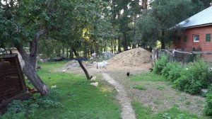 Sony FE 24-240 mm зум-объектив адаптирован для видеосъемки. тест