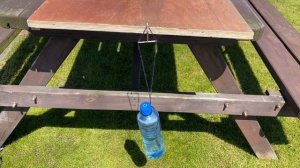 8 простых научных экспериментов, которые можно провести дома