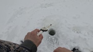 ЛОВЛЯ #ОКУНЯ НА МОРМЫШКУ В ГЛУХОЗИМЬЕ! НАШЕЛ СТАЮ ГОРБАЧЕЙ! МОЖАЙСКОЕ ВОДОХРАНИЛИЩЕ