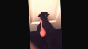 Foot-job too a dildo feet fetish