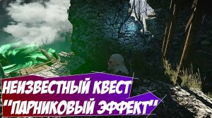 Неизвестный Квест Каэр Морхена "Парниковый эффект" Ведьмак 3 на 100 %