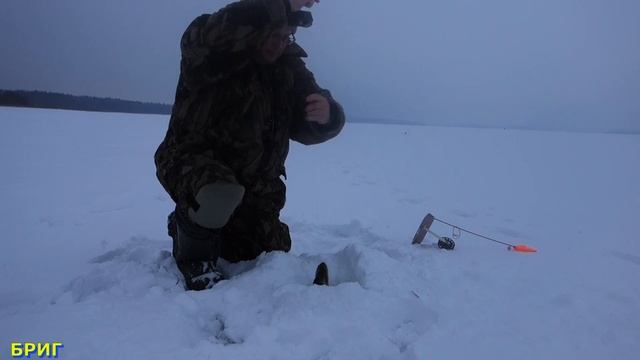 Успешная рыбалка в глухозимье. Щука, плотва, окунь