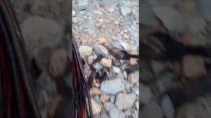 Ремонт жгута ФАВ