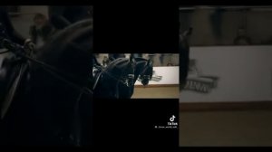 ❤️Тik Tok|| лошади✨ эдиты + тутор ❤️