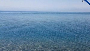 ОПАСНАЯ РЫБАЛКА В АБХАЗИИ | Скорпена - опасный морской улов