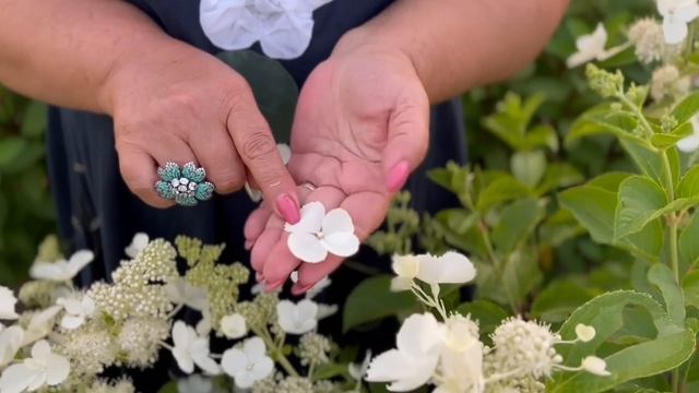 КОЛЛЕКЦИЯ ЗАБЛУЖДЕНИЙ | СОРТА ГОРТЕНЗИИ PINK LADY, PINK QUEEN смотреть онлайн