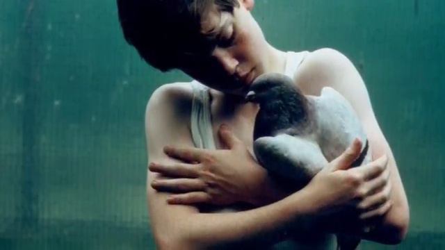 5 ДЕТЕЙ, которых воспитали ЖИВОТНЫЕ Интересные факты 2 смотреть онлайн