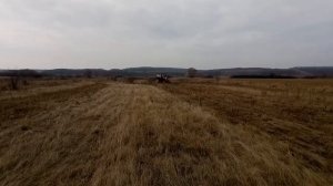 Расчищаем Заброшенный Луг под Будущий Сенокос