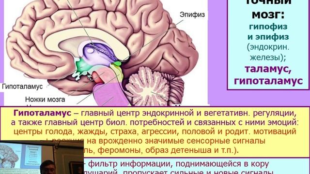 Сенсорные системы: общие принципы