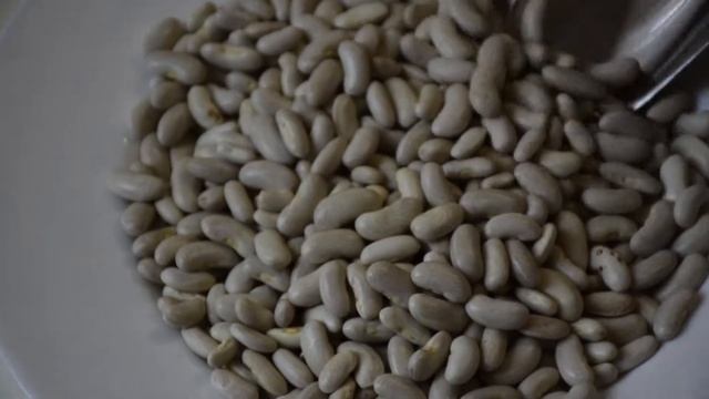 Фасоль белая (мелкая)