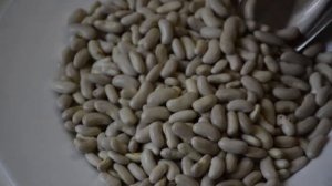 Фасоль белая (мелкая)