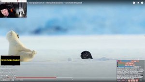 Hellyeahplay смотрит: Вот Как Полярные Медведи Расправляются с Непробиваемыми Черепами Моржей