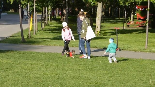 Весна 2017 Ростов-на-Дону . смотреть онлайн
