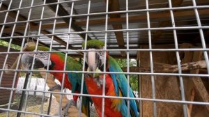 Владыка Дамиан.Томашовка.Монастырь.Экскурсия.