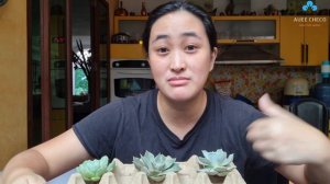 AIR DRYING OF SUCCULENTS | KELANGAN BA TALAGA?