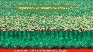 Жидкий газон Hydro Mousse купить, цена, отзывы Гидропосев газона Hydro Mousse своими руками, обзор
