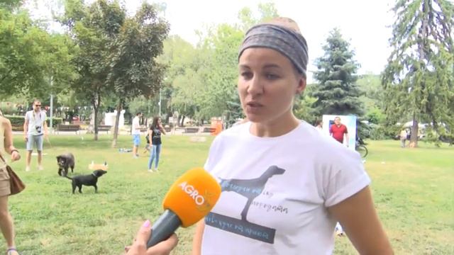 Агротема: Осиновяване на кучета в столичния парк, автор: Камелия Карадочева смотреть онлайн