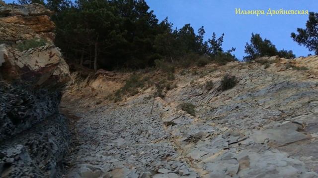 Большой Геленджик. Джанхот. смотреть онлайн