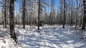Поездка на зимовье