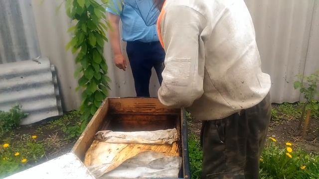 Формирование отводков
