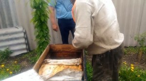 Формирование отводков