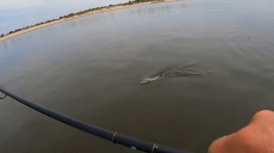 Астрахань! Отличная рыбалка и  лучший отдых..  на Нижней Волге ..в Удивительных местах ВЕЛИКОЙ Реки