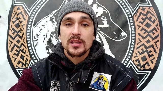 Собака будет схватывать на лету / Как ускорить прогресс в дрессировке/ маркер "ДА" и маркер "НЕТ" смотреть онлайн