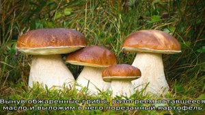 Белые грибы жареные с картошкой
