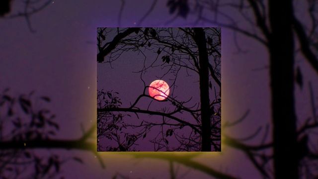 NIGHT / CHILL PHONK ? 1 ЧАС АТМОСФЕРНОГО ФОНКА смотреть онлайн