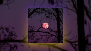 NIGHT / CHILL PHONK ? 1 ЧАС АТМОСФЕРНОГО ФОНКА