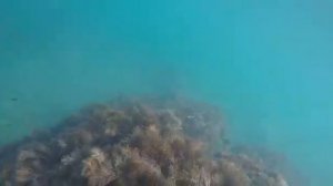 Самый лучший пляж в Головинке у отеля Камбала.