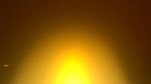 КАК НЕРЕСТИТСЯ КАНАЛЬНЫЙ СОМИК!!! ПОДВОДНАЯ СЪЕМКА!!!