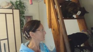 Видео привет с 6 соток 2 августа 2024 года