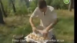 Гриб Веселка лечит рак!