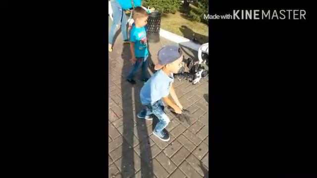 Летняя прогулка Голуби Ловим голубей Catch pigeons