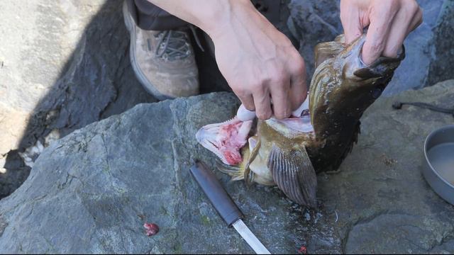 *GRAPHIC* Why I Ate Its EYES, LIVER, and HEART On the Spot (NUTRITIOUS)!! смотреть онлайн