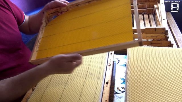 ЛУЧШИЙ СПОСОБ НАВАЩИВАНИЯ РАМОК - ЭЛЕКТРОНАВАЩИВАЛЕЛЬ СВОИМИ РУКАМИ. ДЛЯ НАЧИНАЮЩИХ ПЧЕЛОВОДОВ 9-21 смотреть онлайн