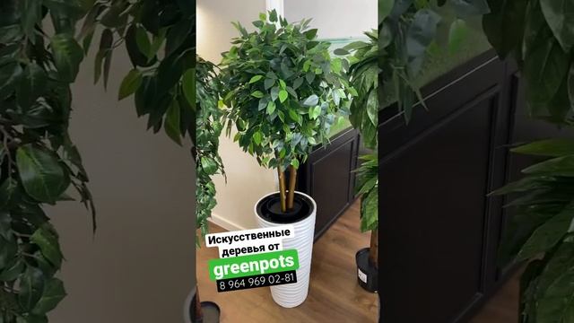 Искусственное озеленение в вашем городе? - greenpots.ru