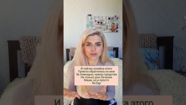 Очень нужна помощь частному приюту для кошек "Коток'", у них осталось еды всего на 2 дня